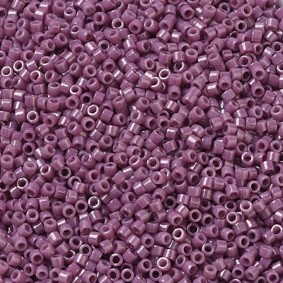 MIYUKI Delica Beads X-SEED-J020-DB0265-1