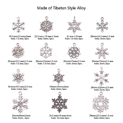 Tibetan Style Alloy Big Pendants TIBE-CJ0001-04-1