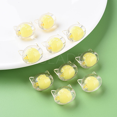 Transparent Acrylic Beads X1-MACR-S373-115-B05-1