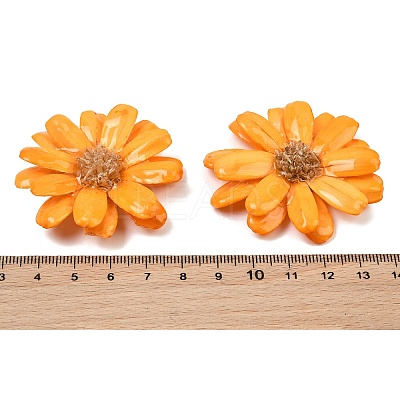 Epoxy Resin & Dried Flower Big Pendants RE-CBAAE94-01E-1