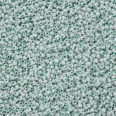 11/0 FGB Grade A Ceylon Glass Seed Beads X-SEED-N001-B-0487-1