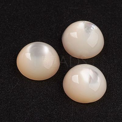 Natural White Shell Mother of Pearl Shell Cabochons SSHEL-G014-13-1