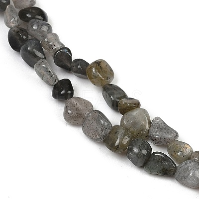 Natural Labradorite Beads Strands G-Q060-D02-1