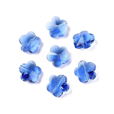 Transparent Glass Beads GLAA-Q066-14mm-C08-1