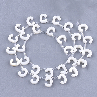 Natural Freshwater Shell Beads SHEL-T012-59C-1