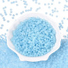 FGB Frosted Transparent Glass Seed Beads SEED-N013-02A-11-2