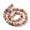 Natural Agate Beads Strands G-C238-03C-3
