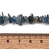 Natural Kyanite/Cyanite/Disthene Chip Beads Strands G-E271-78-8