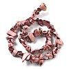 Dyed Natural Trochus Shell Beads Strands BSHE-Z006-01D-2