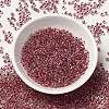 6/0 Transparent Glass Seed Beads SEED-F003-03A-03-2