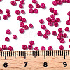 Glass Seed Beads SEED-S060-A-F451-5