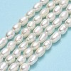Natural Cultured Freshwater Pearl Beads Strands PEAR-J006-13B-01-2