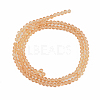 Glass Beads Strands EGLA-A034-T8mm-D23-2