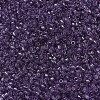 MIYUKI Delica Beads X-SEED-J020-DB1105-3