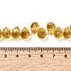 Transparent Glass Beads GLAA-Z017-01C-4