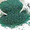 12/0 FGB Grade A Round Glass Seed Beads SEED-Q011-F520-1