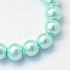 Baking Painted Pearlized Glass Pearl Round Bead Strands X-HY-Q003-6mm-45-2