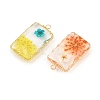 Brass Resin Pendants GL-CBA591C-04G-2