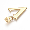 304 Stainless Steel Pendants STAS-F106-95G-V-2