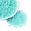 FGB Frosted Transparent Glass Seed Beads SEED-N013-06A-10-1