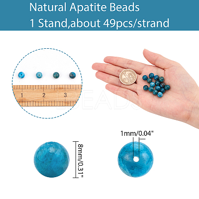 Natural Apatite Beads Strands G-AR0001-77-1