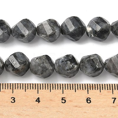 Natural Larvikite Beads Strands G-C267-B24-1
