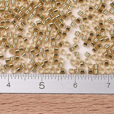 MIYUKI Delica Beads SEED-X0054-DB2521-1