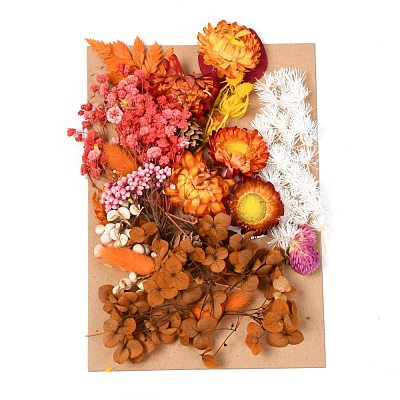 Dried Flower DIY-B018-06-1