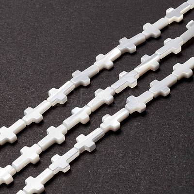 Natural Trochid Shell/Trochus Shell Beads SSHEL-O0001-22A-1