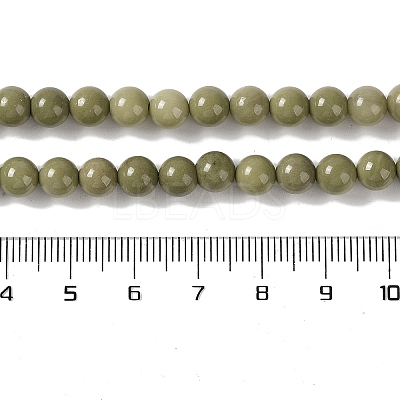 Natural Alashan Agate Beads Strands G-P530-B05-02-1