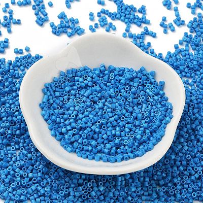 Baking Paint Glass Seed Beads X-SEED-S042-05B-76-1