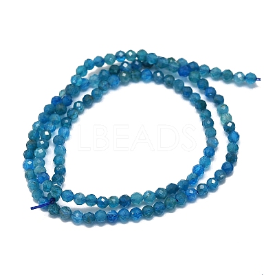 Natural Apatite Beads Strands G-G106-C06-02-1