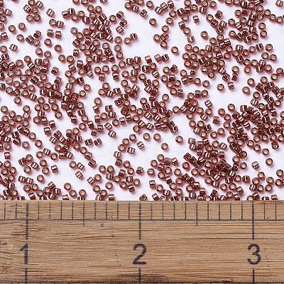 MIYUKI Delica Beads X-SEED-J020-DB2160-1