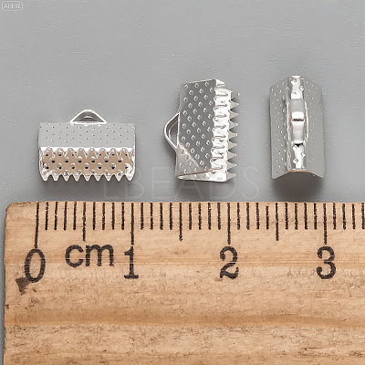 280Pcs Iron Ribbon Crimp Ends IFIN-CP0002-97G-1