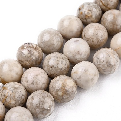 Natural Maifanite/Maifan Stone Beads Strands G-I187-10mm-01-1
