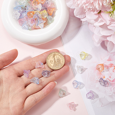 500Pcs Transparent Acrylic Bead Caps TACR-SP0001-06-1