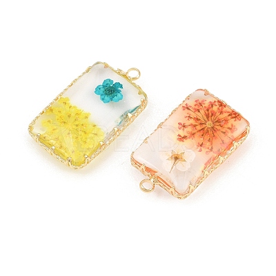 Brass Resin Pendants GL-CBA591C-04G-1