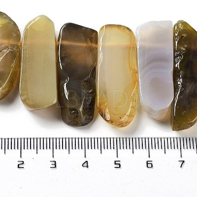 Natural Botswana Agate Beads Strands G-L551B-15-1