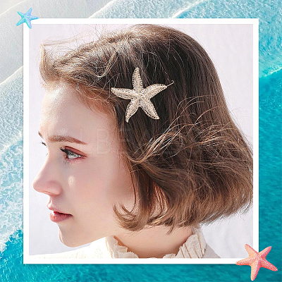 10Pcs Zinc Alloy Hair Barrettes PHAR-SP0001-25-1