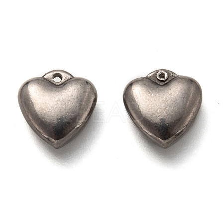 304 Stainless Steel Charms STAS-H123-06P-1