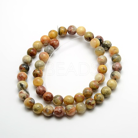 Round Natural Crazy Lace Agate Beads Strands G-P058C-01-1