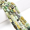 Natural Serpentine Beads Strands G-N346-01B-04-1