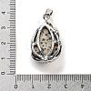 Natural Dalmatian Jasper Teardrop Pendants G-G112-03P-03-3
