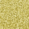 MIYUKI Delica Beads X-SEED-J020-DB0623-3