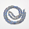 Frosted Electroplate Glass Fish Beads Strands X-EGLA-M001-D04-2