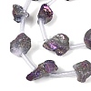 Electroplate Raw Rough Natural Amethyst Beads Strands G-Q610-06D-4