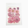 Pressed Dried Flowers DIY-B070-01A-1