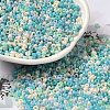 Baking Paint Glass Seed Beads SEED-P006-03A-17-1
