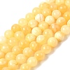 Natural Yellow Jade Beads Strands G-Q462-8mm-36-2