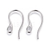 Tarnish Resistant 304 Stainless Steel Earring Hooks X-STAS-I100-23P-1